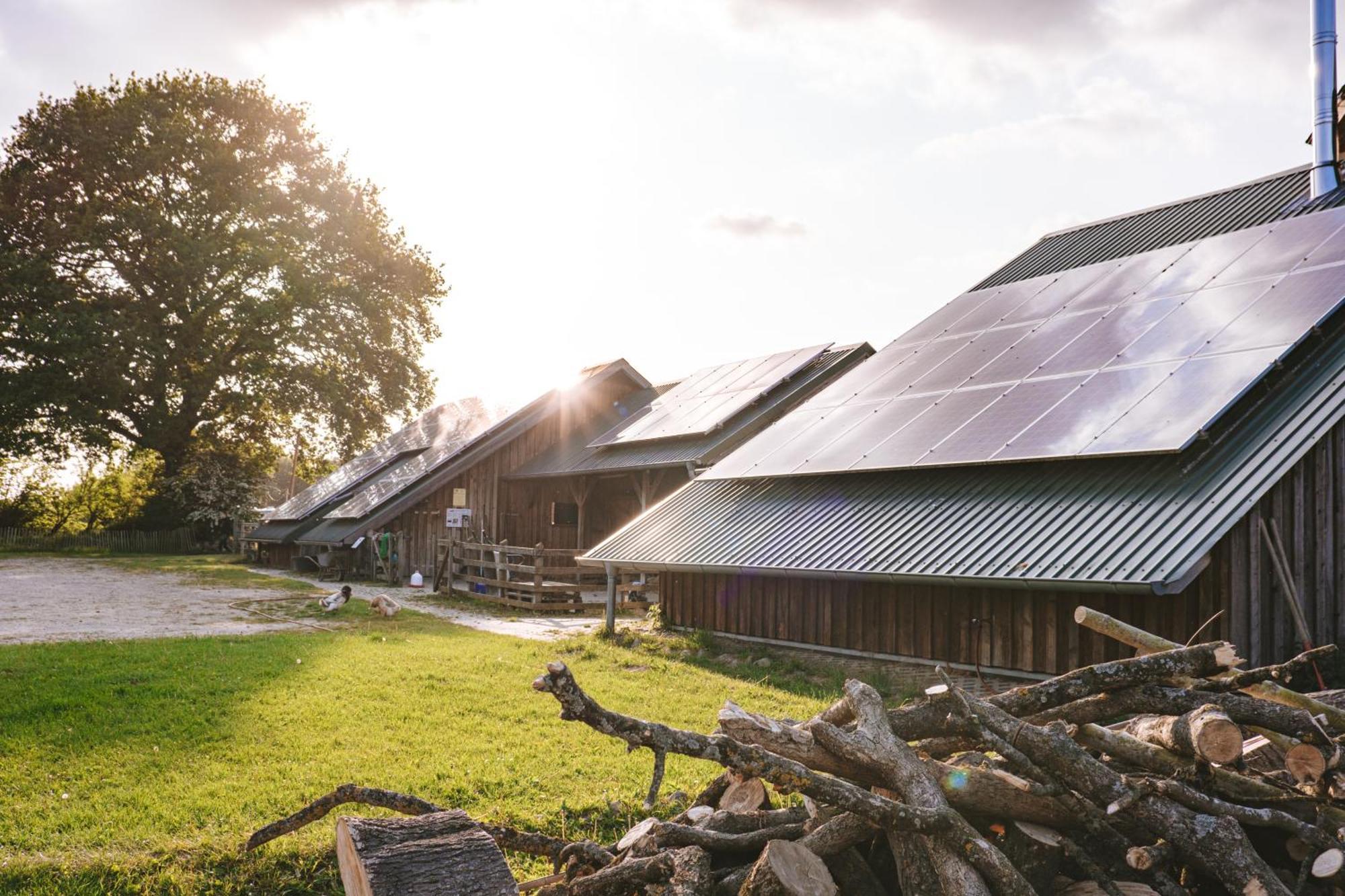 فندق Domo Camp - Nature Glamping Hof Viehbrook Rendswuhren المظهر الخارجي الصورة